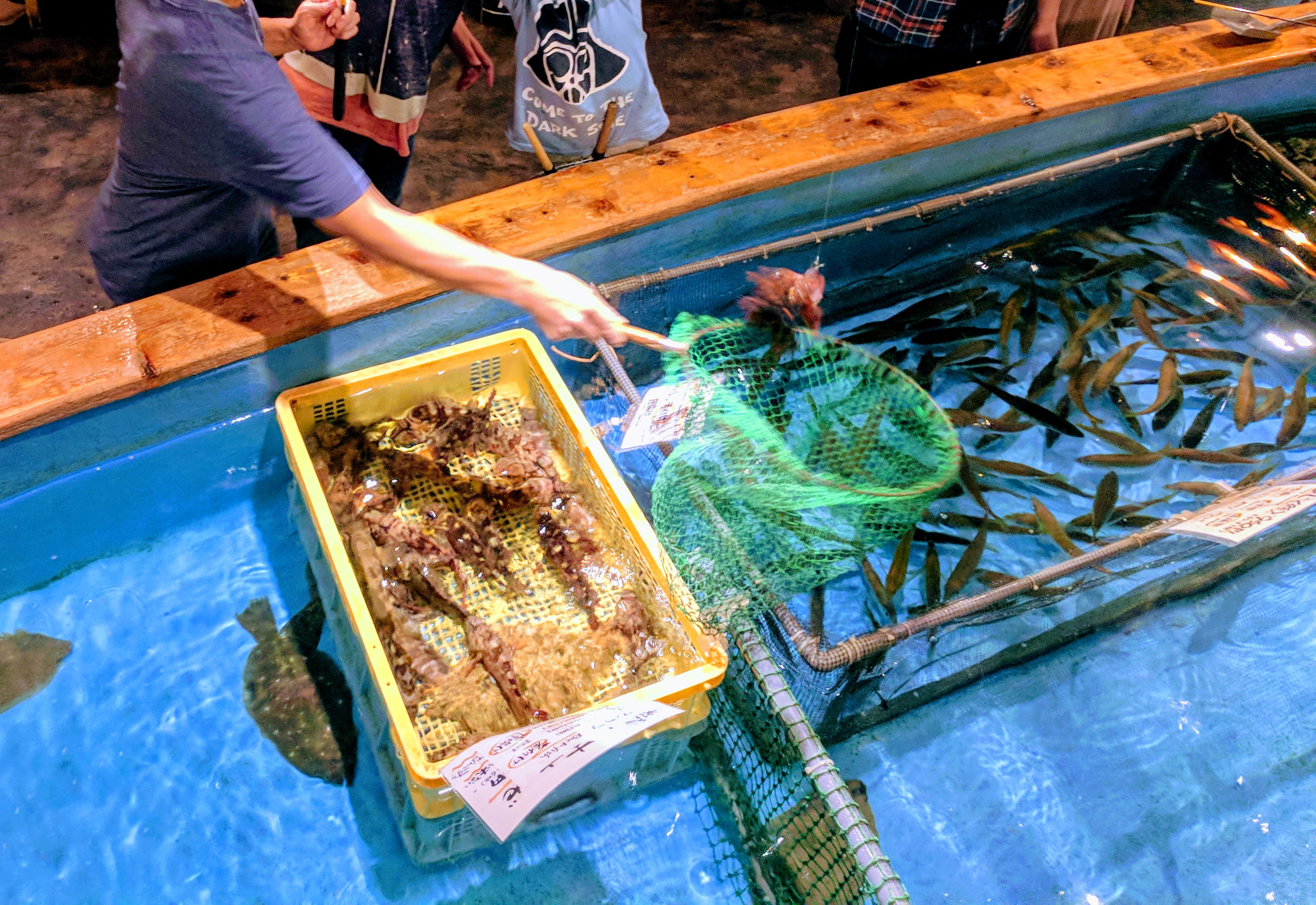 Tokyo – Zauo Fishing Restaurant